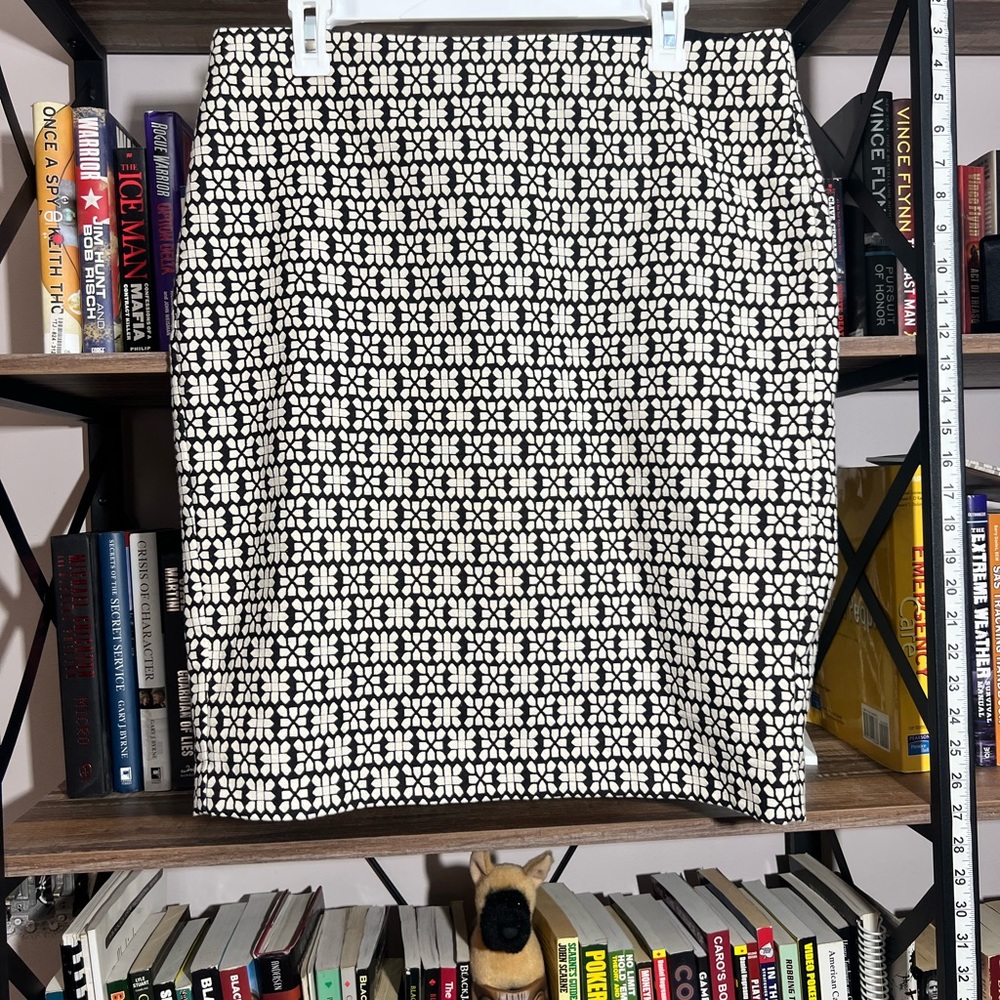Blank and White Banana Republic Pencil Skirt